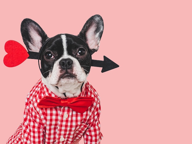 Foto un lindo cachorro y un corazón rojo una hermosa tarjeta de felicitación