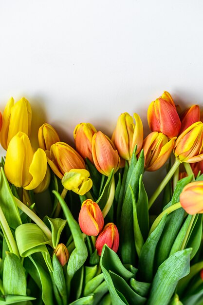 Lindo cartão com tulipas para dia das mães, casamento ou evento feliz. fundo branco.