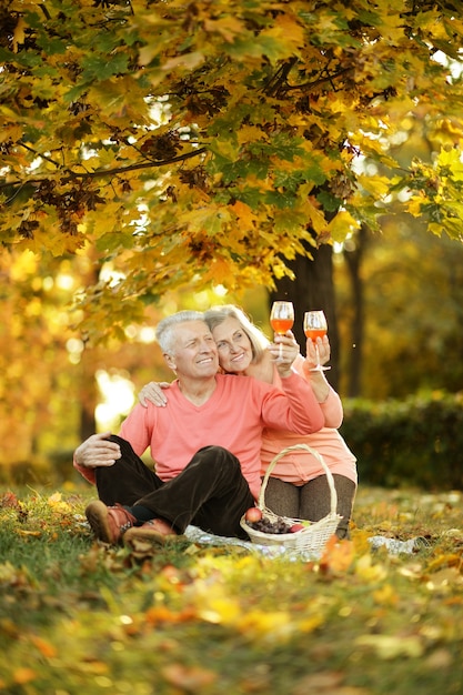 Lindo casal de idosos caucasianos no parque no outono