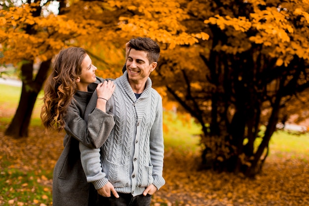 Lindo casal jovem na floresta de outono