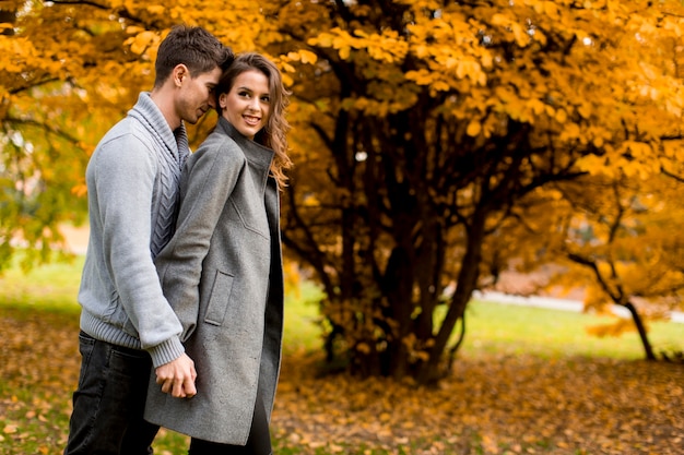 Lindo casal jovem na floresta de outono