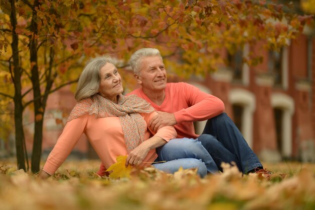 Lindo casal sênior relaxante no parque