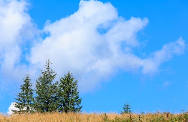 Lindo céu azul com nuvens cumulus brancas sobre colina de montanha de verão com abetos.