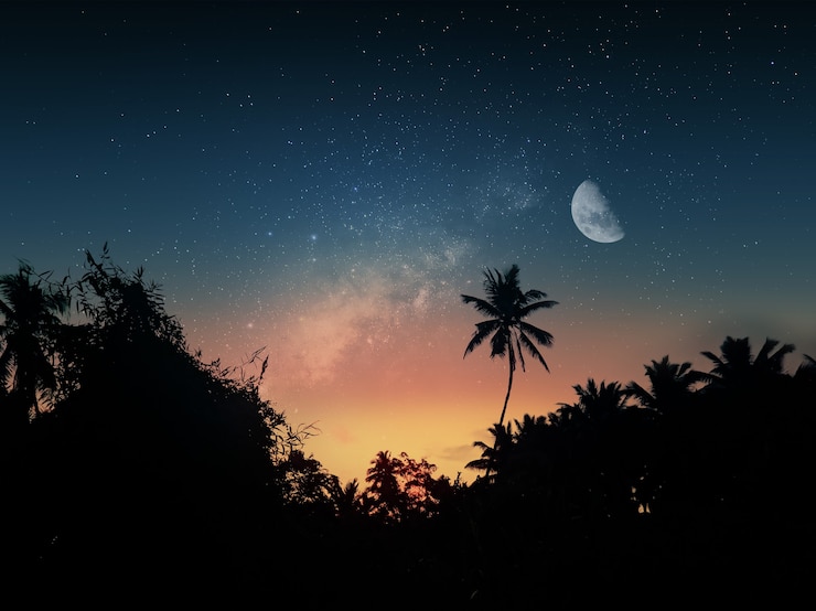 Foto lindo céu noturno com a silhueta da floresta e da lua