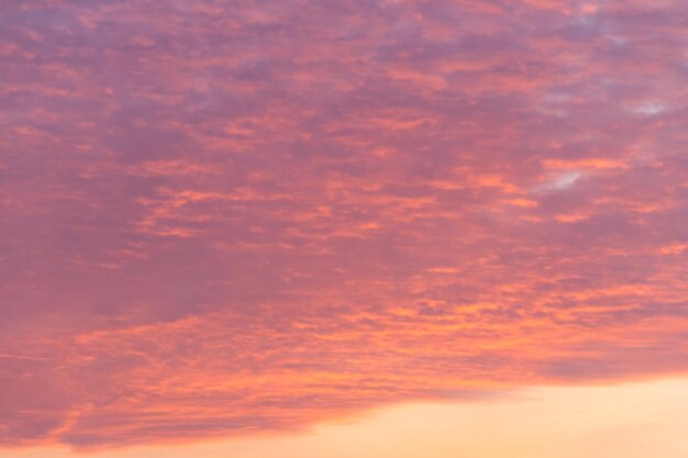 Lindo céu rosa do nascer do sol. Fundo natural