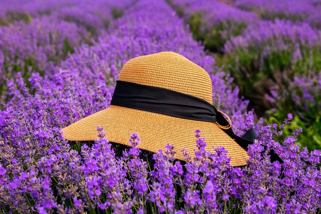 Lindo chapéu em um campo de lavanda em um dia ensolarado