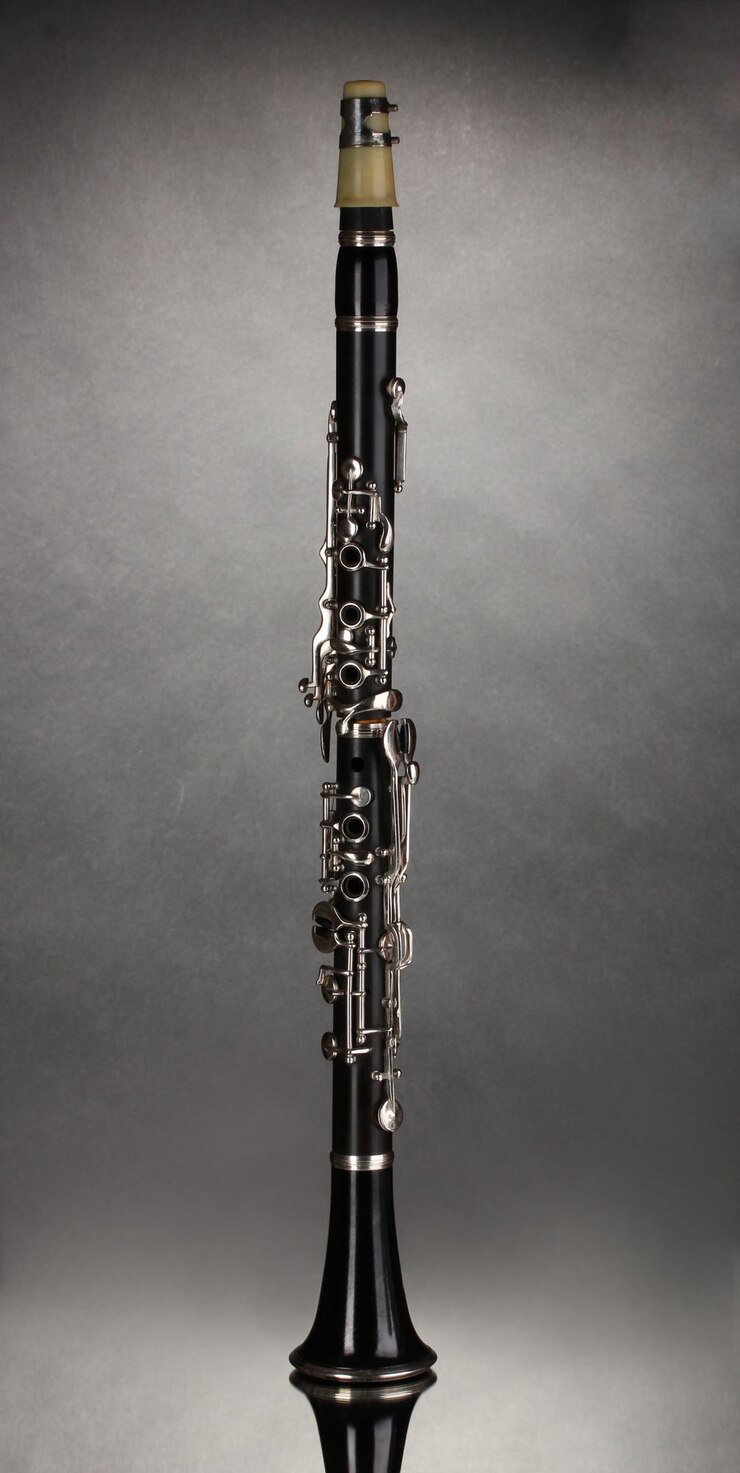 Foto lindo clarinete em um fundo cinza