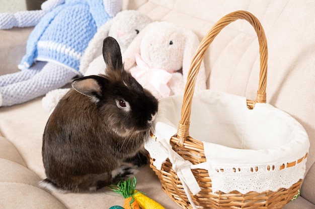 Un lindo conejito de Pascua se sienta cerca de una canasta de mimbre en el sofá