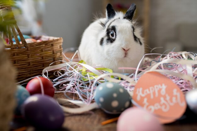 Lindo conejito de pascua