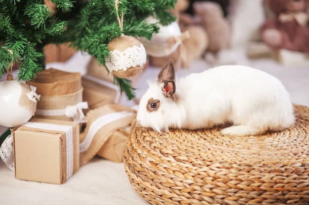 Lindo conejo blanco, conejito contra con abeto decorado festivo. Concepto de felices vacaciones de invierno