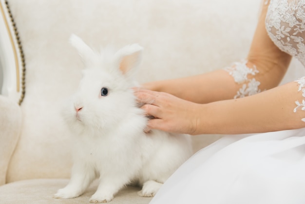 Lindo conejo blanco sentado al lado de la novia. Mañana del día de la boda