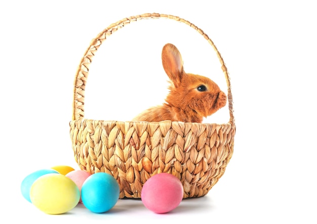 Un lindo conejo esponjoso en una canasta de mimbre y huevos de Pascua coloridos sobre un fondo blanco