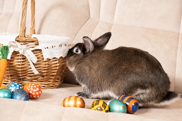 Un lindo conejo marrón de Pascua se sienta en un sofá con huevos pintados