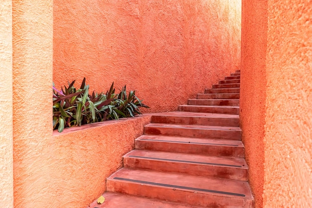 Lindo degrau de escada rosa e laranja