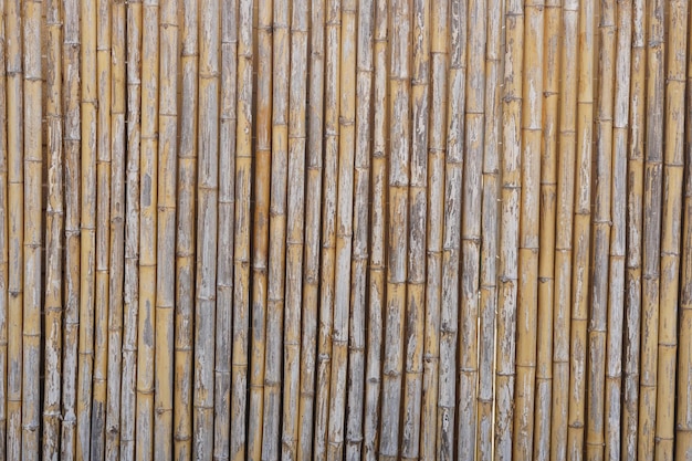 Lindo fundo de bambu seco forrado