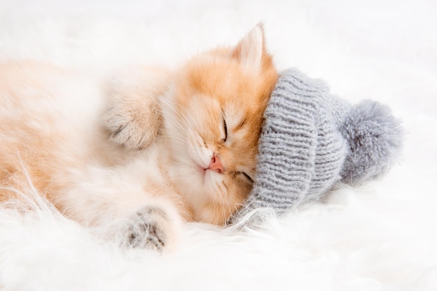 Lindo gatito rojo duerme en un gorro de punto sobre una manta de piel