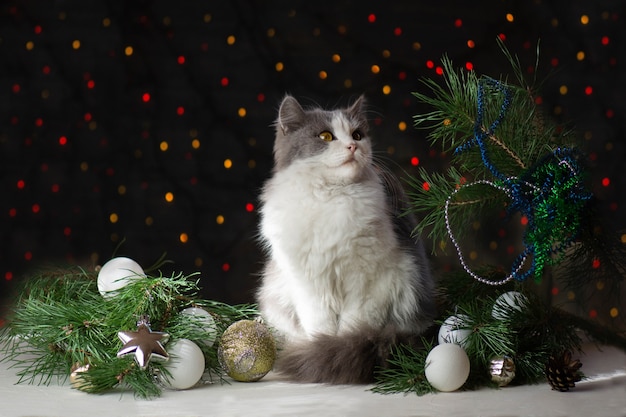 Lindo gato con un árbol de Navidad y decoración.