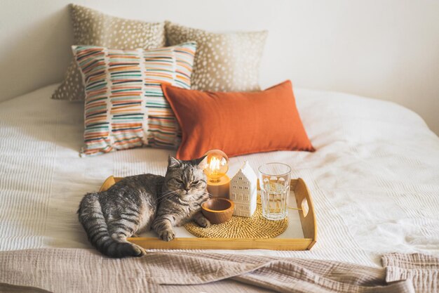 Foto lindo gato de la recta escocesa y almohadas de lino en una cama blanca con decoración casera detalles de naturaleza muerta en casa en una cama hogar acogedor dulce hogar