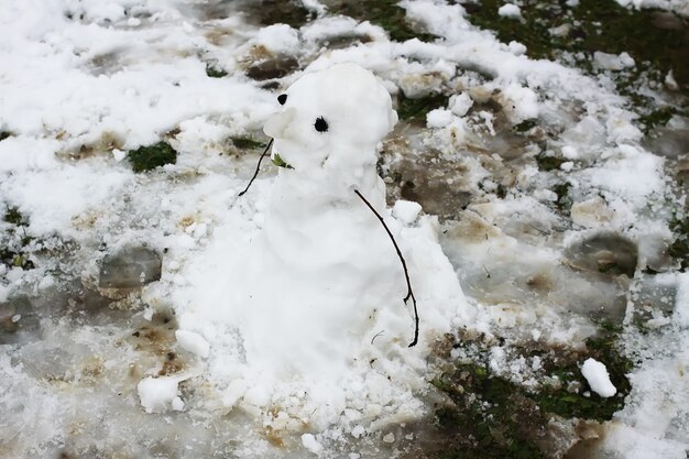 Lindo muñeco de nieve en patio rural.