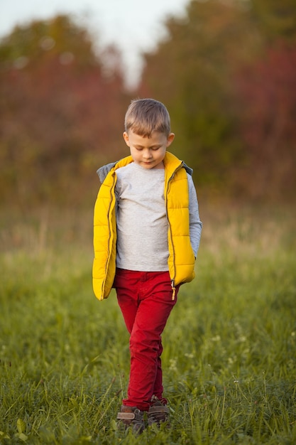 Lindo niño de 5 años camina en el jardín de otoño. Retrato de un niño feliz en ropa de otoño brillante. Otoño cálido y brillante.