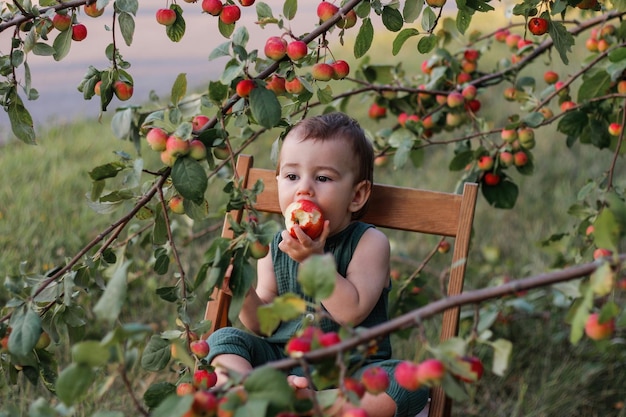 Un lindo niño de un año con placer come una manzana en un jardín de manzanasEl niño tiene un gran apetito