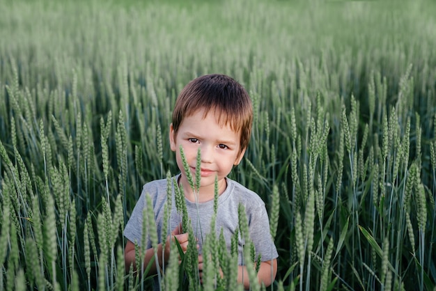 Un lindo niño entre las espigas de trigo en el campo de trigo verde, paisaje rural de verano, niños y naturaleza