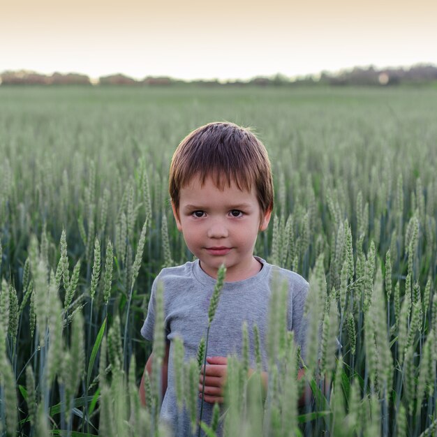 Un lindo niño entre las espigas de trigo en el campo de trigo verde, paisaje rural de verano, niños y naturaleza