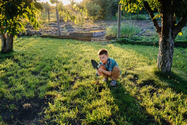 Un lindo niño está plantando brotes en el jardín al atardecer. Jardinería y agricultura.