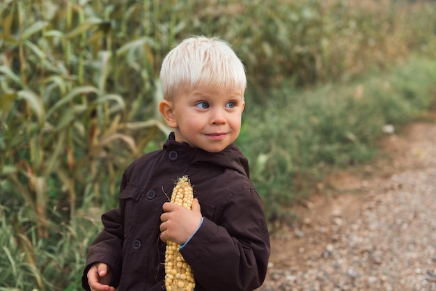 Lindo niño feliz en campo de maíz con mazorca de maíz