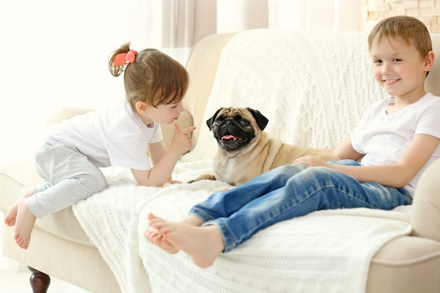 Lindo niño y niña con pug en sofá