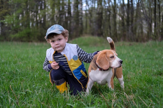 Lindo niño de pelo rizado en un paseo con un perro Beagle en una tarde de primavera en el parque