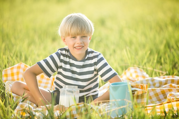 Lindo niño pequeño en un picnic en un prado