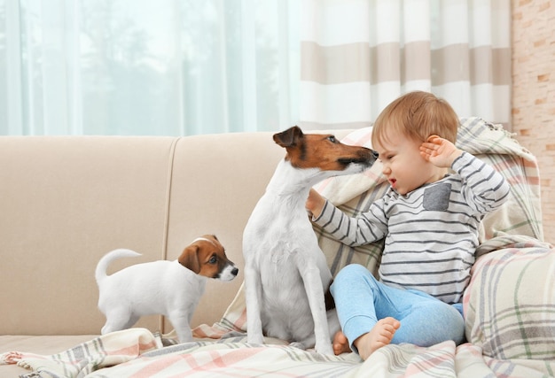 Lindo niño con perros en el sofá en casa