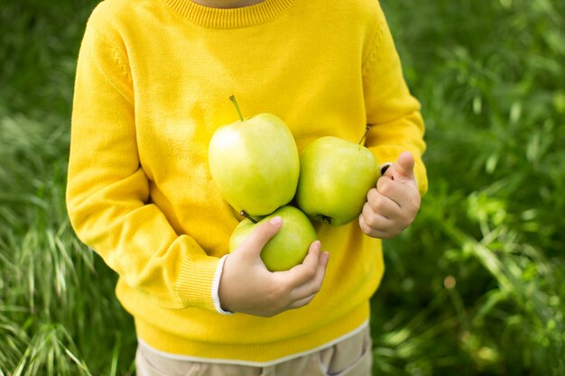 Lindo niño recogiendo manzanas en un fondo de hierba verde en un día soleado