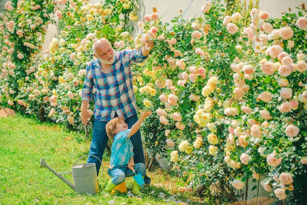 Lindo niño regando flores en el jardín de verano abuelo con su nieto trabajando en el g