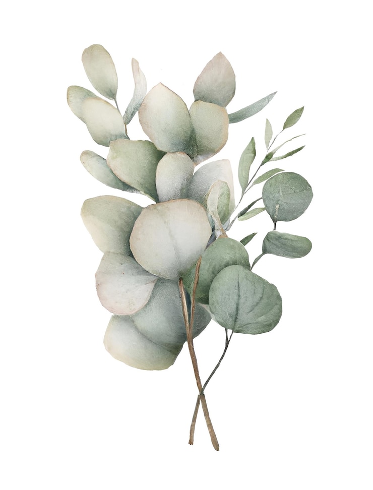 Foto lindo ornamento floral aquarela