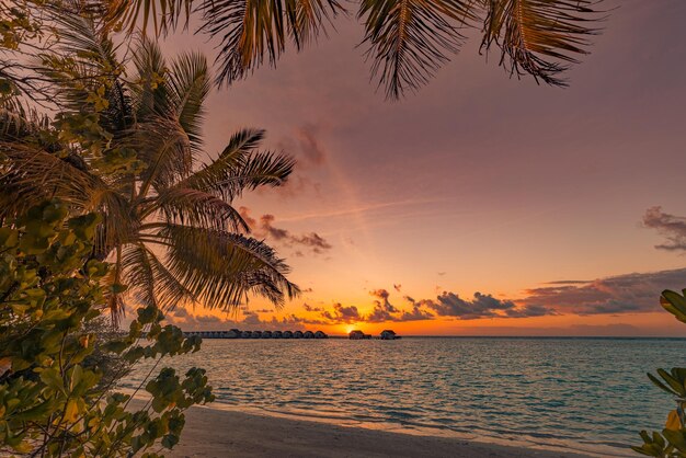 Lindo paraíso das Maldivas pôr do sol Paisagem aérea tropical paisagem marítima vilas aquáticas incrível mar céu