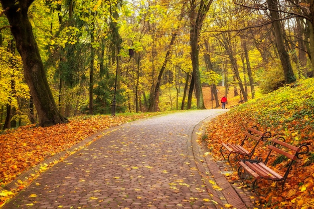 Lindo parque e calçadão de outono