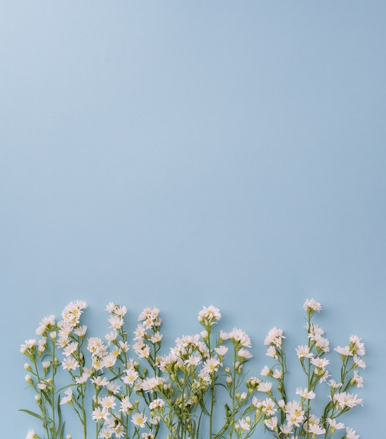 Lindo pequeño cortador blanco flores sobre fondo azul claro con espacio