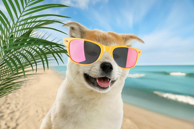 Lindo perro con gafas de sol en la playa de arena cerca del mar Vacaciones de verano con mascota