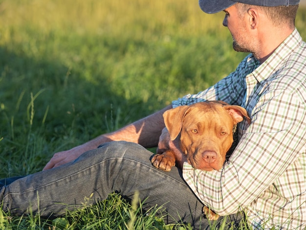 Lindo perro y hombre atractivo sentado en un prado en un día claro y soleado Primer plano al aire libre Luz del día Concepto de cuidado, entrenamiento y crianza de mascotas