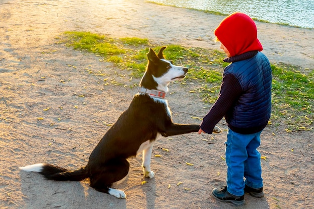 Lindo perro con un niño en el fondo de la orilla