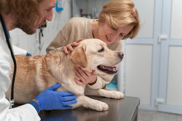 Lindo perro sonriente en la clínica veterinaria de cerca