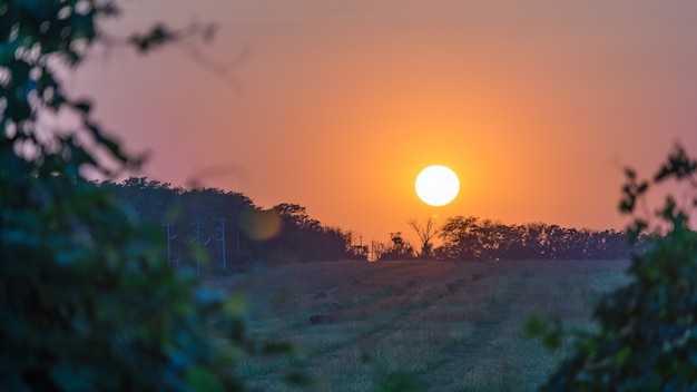 Lindo pôr do sol. Disco solar sobre o campo verde. Noite de verão em Blagoveshenskaya. Anapa, Rússia.