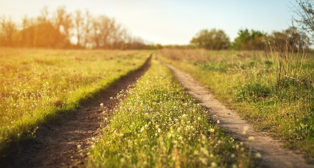 Lindo pôr do sol. Paisagem de primavera com estrada no campo