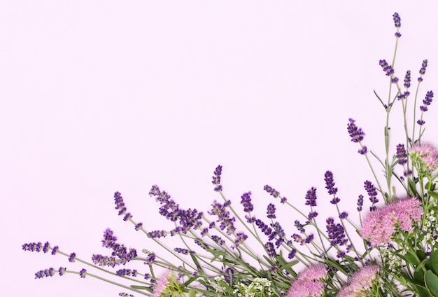 Lindo quadro de flores de lavanda