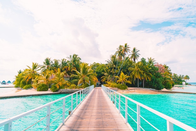 Lindo resort tropical nas Maldivas e ilha com praia e mar - impulsione o estilo de processamento de cores