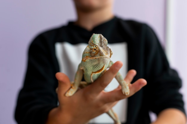 Foto lindo retrato de animal de estimação