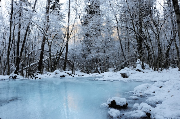 Foto lindo rio congelado nas montanhas