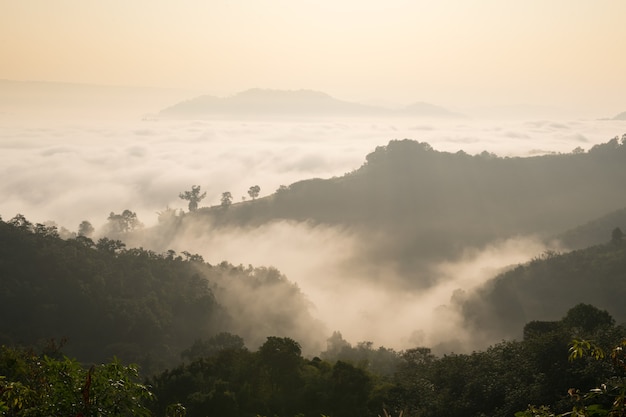 Lindo sol nas montanhas de manhã nublada, paisagem de nevoeiro. névoa do amanhecer